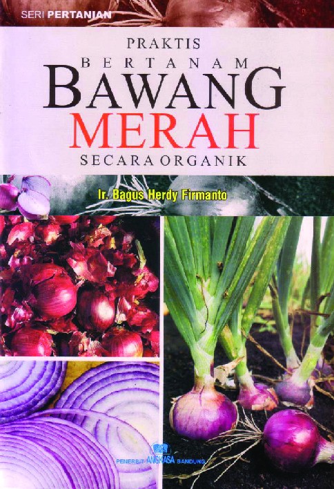 Praktis Bertanam Bawang Merah Secara Organik